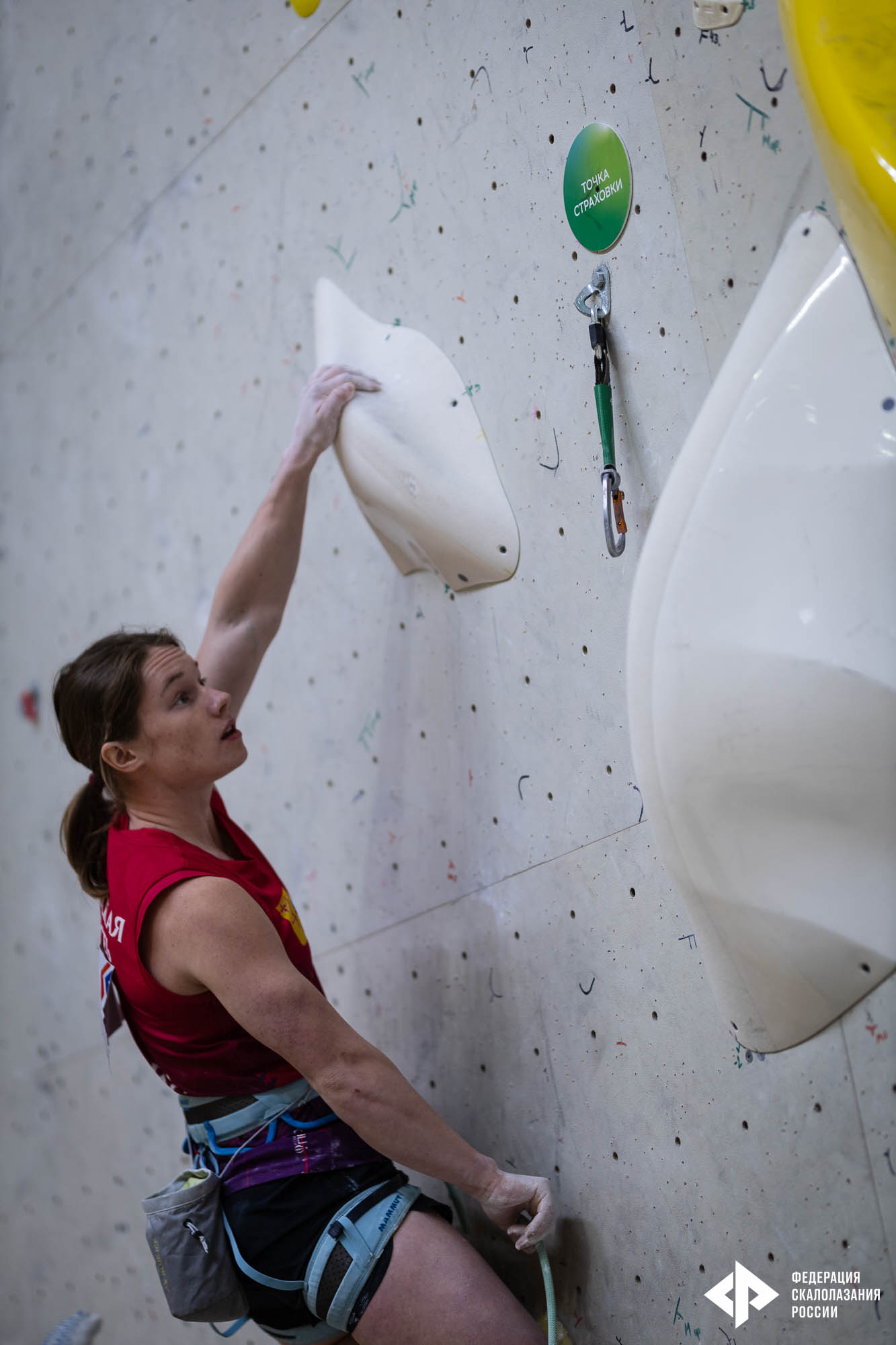 IMG_2740.jpg IMG_2740.jpg