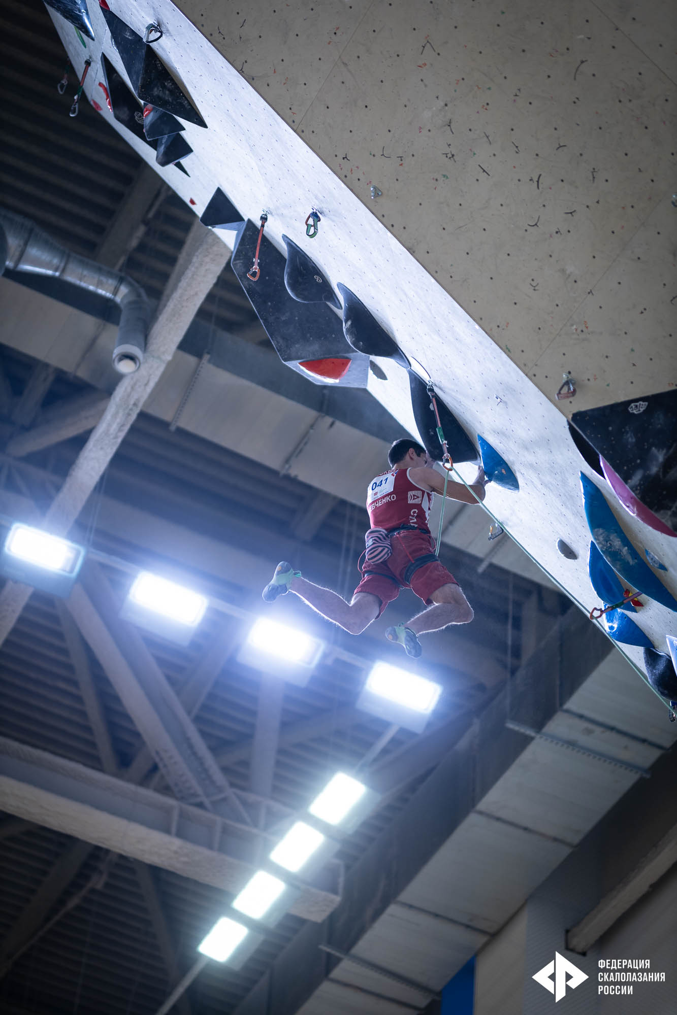 IMG_2810.jpg IMG_2810.jpg