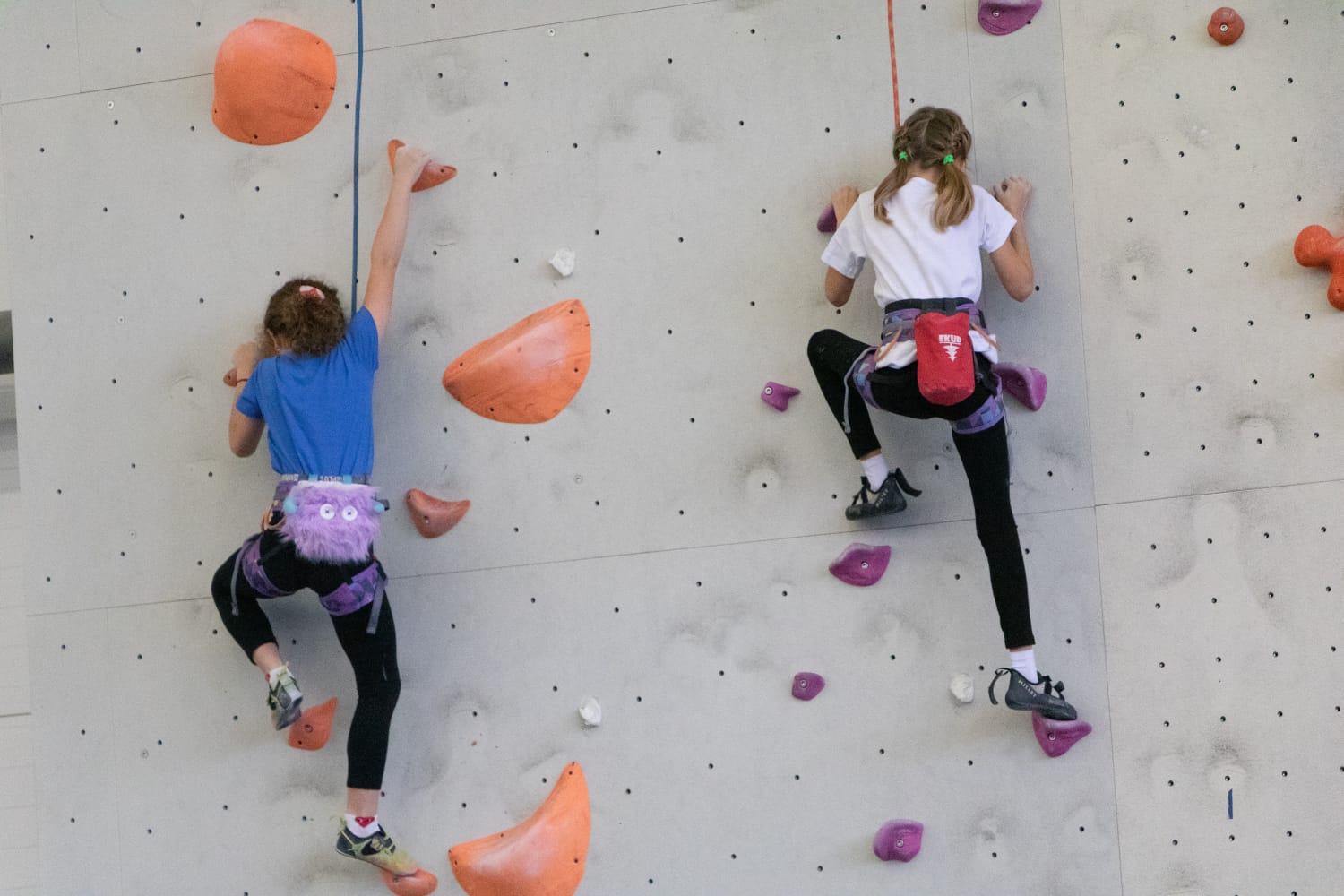 WhatsApp Image 2025-10-31 at 13.36.26.jpeg WhatsApp Image 2025-10-31 at 13.36.26.jpeg