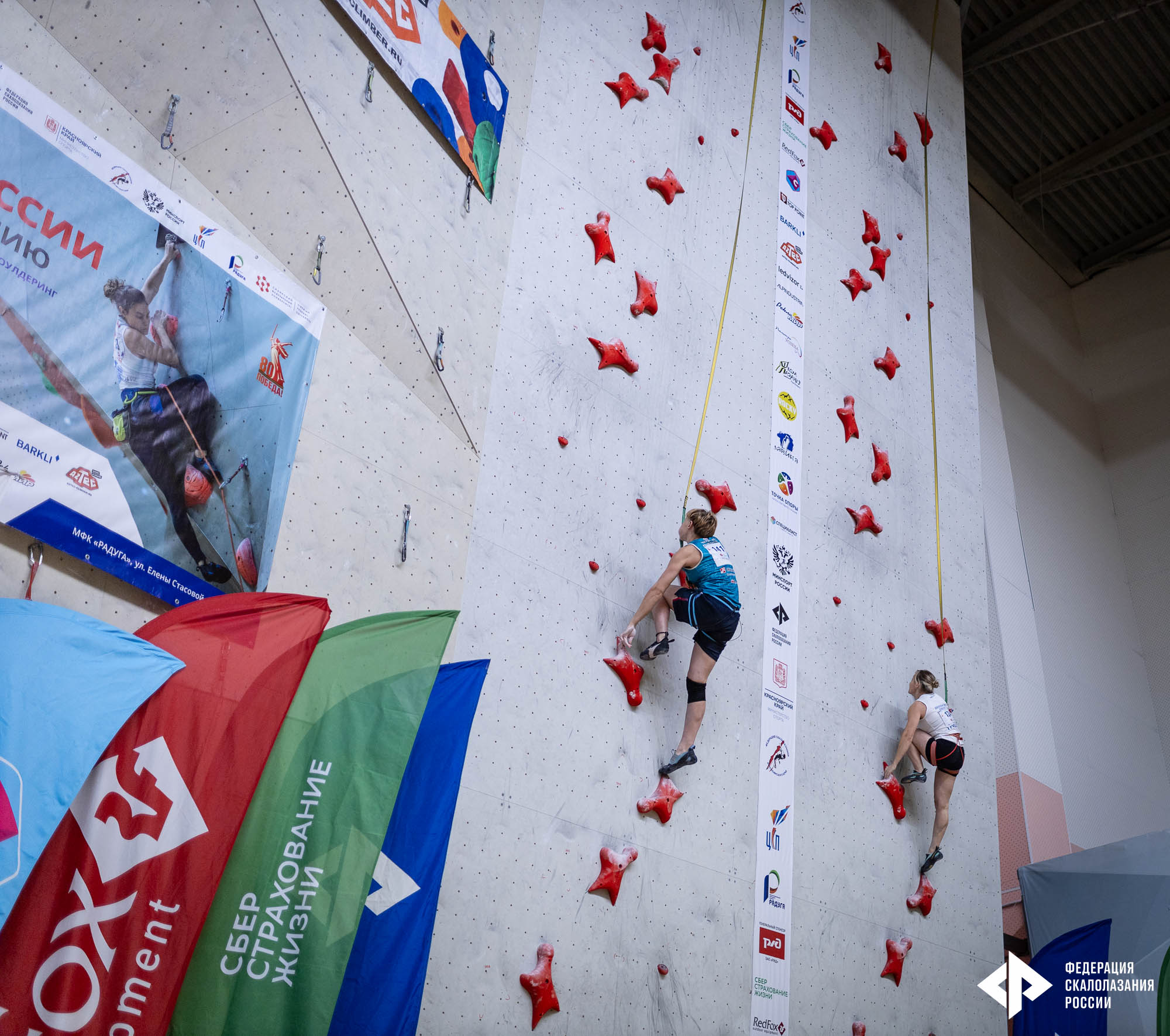 IMG_3539.jpg IMG_3539.jpg